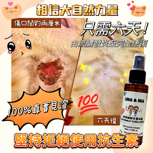 (寵物配方)消炎鎮靜花藥純露
