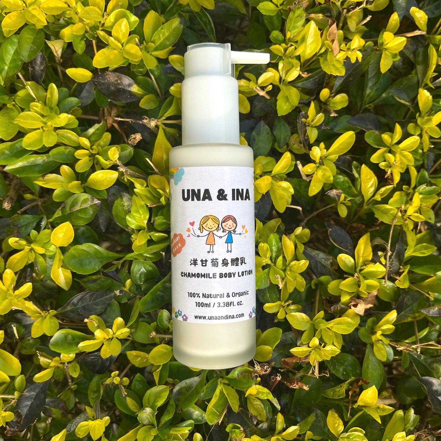 Chamomile baby body lotion